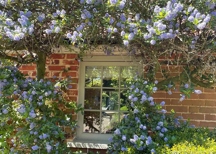 Dairy Cottage Luxury B&B